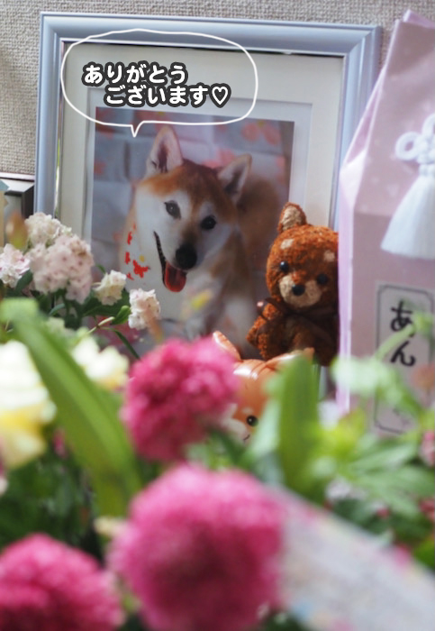 25日夕ブログ６