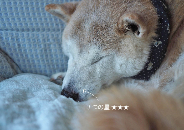 5日ブログ7