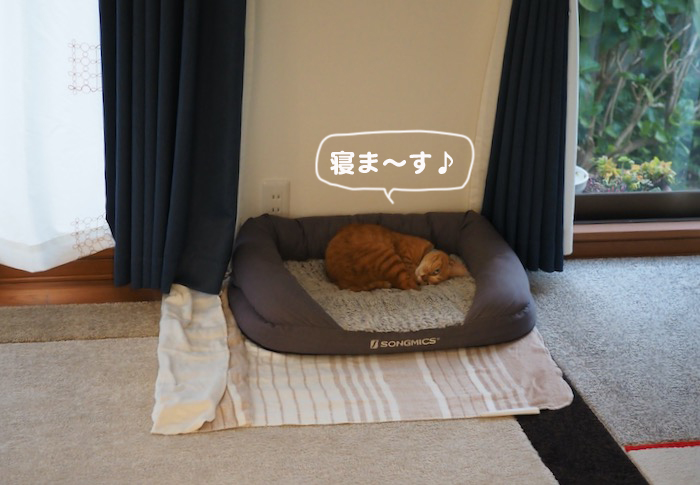 12日夕ブログ１５
