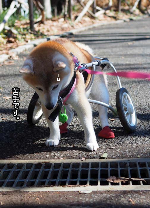 15日ブログ２