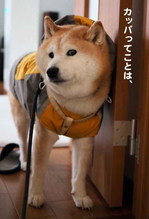 3日夕ブログ２