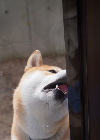 3日ブログ７.jpg