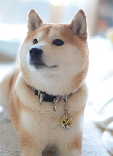24日ブログ11.jpg