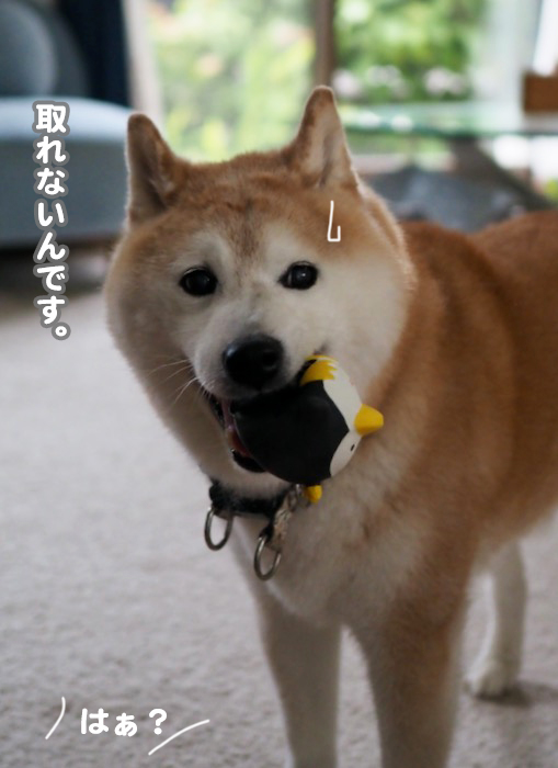 8日夕ブログ５