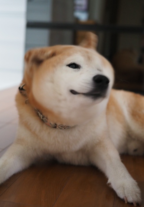 22日午前ブログ２