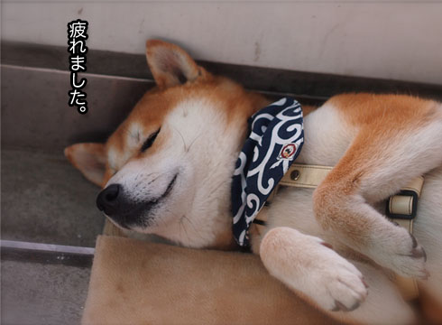25日ブログ17.jpg