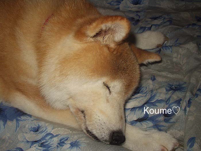 27日午後ブログ４