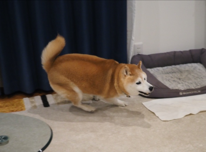 22日夕ブログ１０