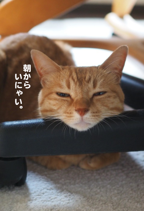 23日ブログ１