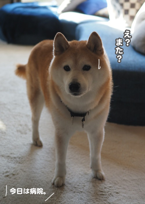 2日夕ブログ３