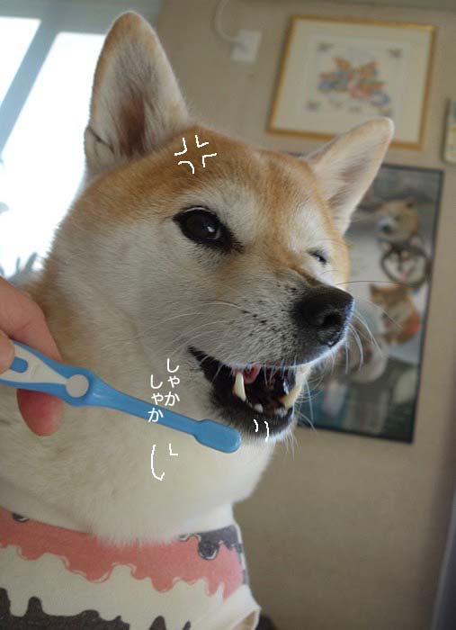 13日ブログ３