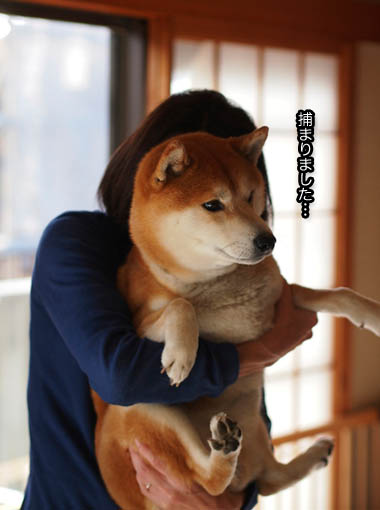 4日ブログ2.jpg