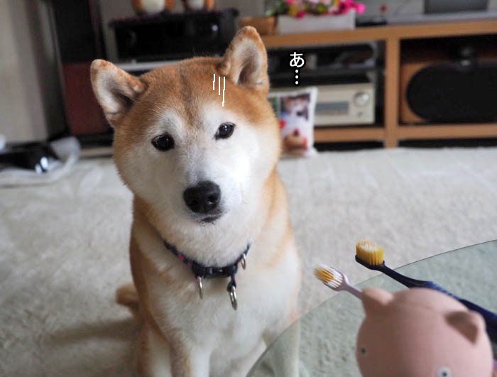 2日夜ブログ２