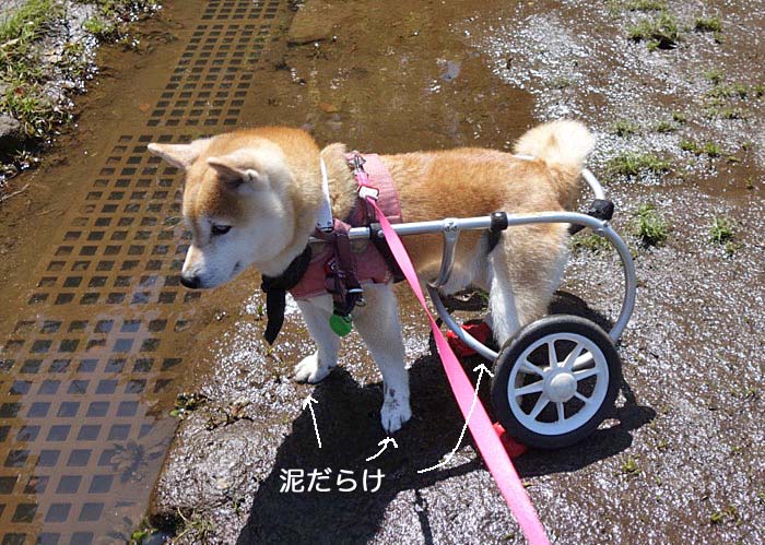 17日夜ブログ２