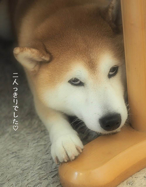 19日ブログ5