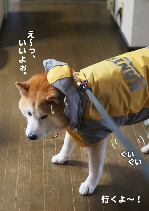 16日夕ブログ６