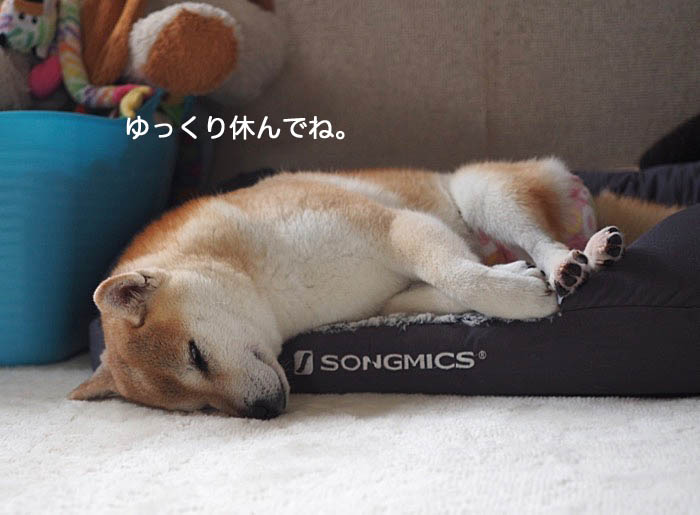 28日ブログ６