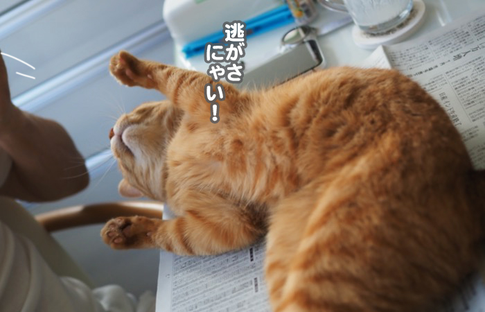 3日夕ブログ５