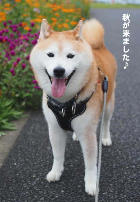 7日ブログ１