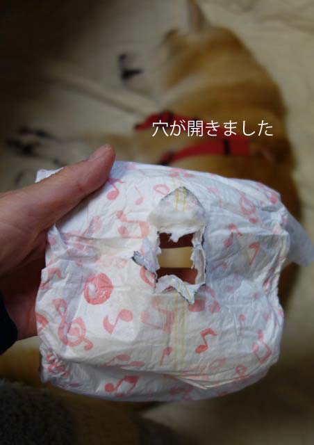 13日ブログ7