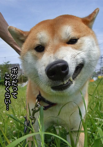 27日ブログ5.jpg