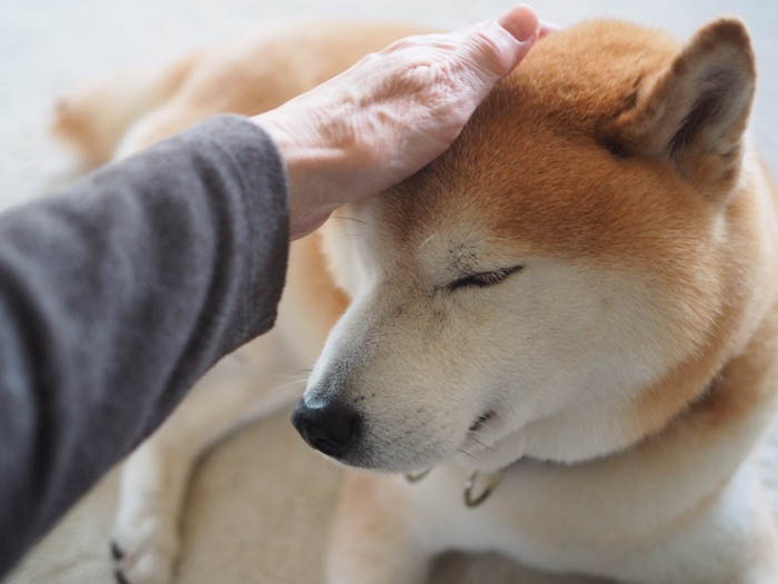 20日ブログ10