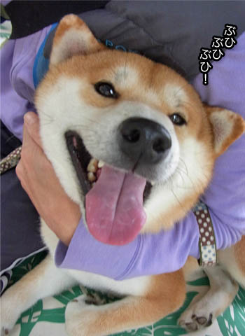 25日ブログ3.jpg