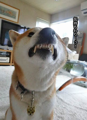19日ブログ3.jpg