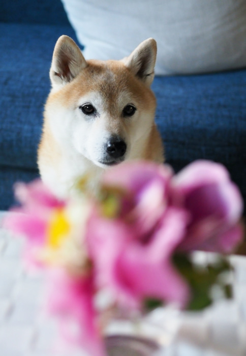 6日ブログ３