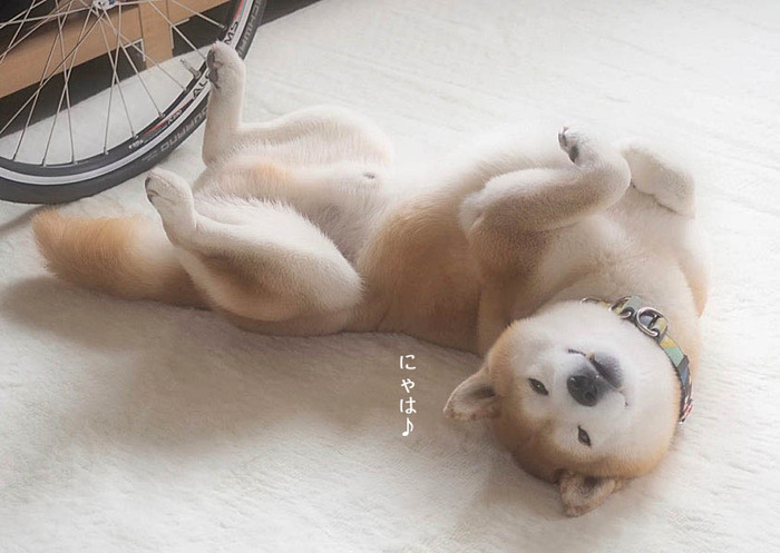 27日ブログ7