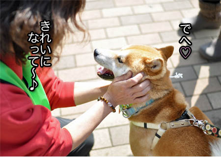 4日ブログ15.jpg