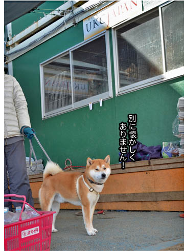 17日ブログ3.jpg