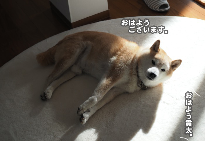 5日夜ブログ６