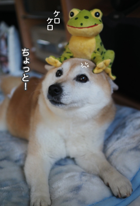 18日夜ブログ６
