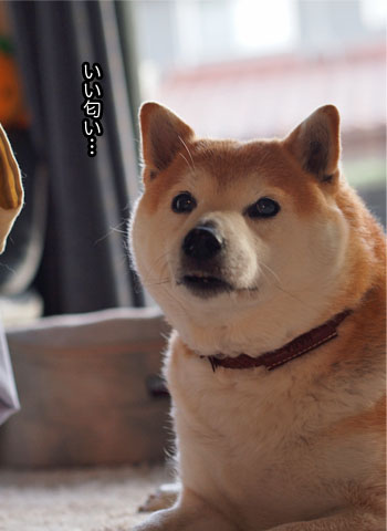 9日ブログ6.jpg