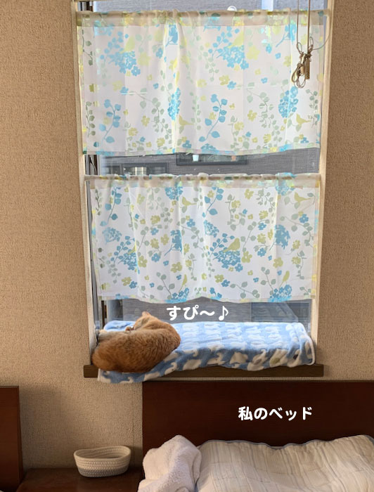 4日ブログ1