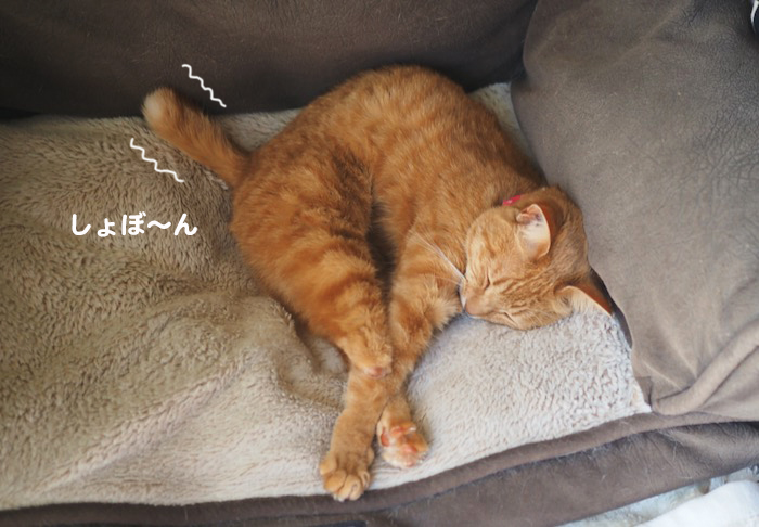 10日ブログ２