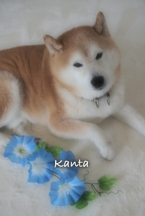 27日ブログ２