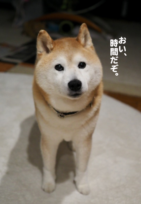 20日夕ブログ３