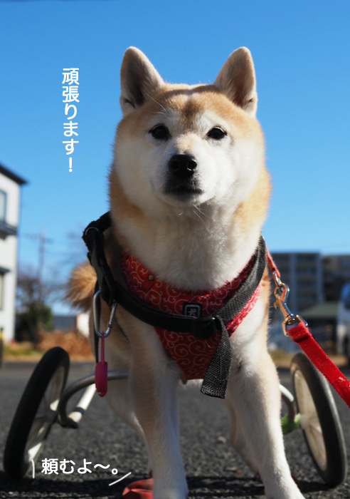 1日のブログ３