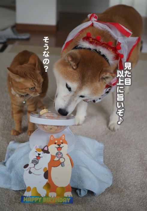 23日夕ブログ７