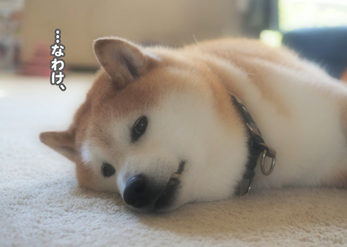 5日夕ブログ５