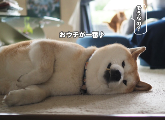 3日ブログ４