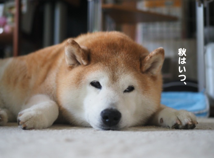 21日ブログ２