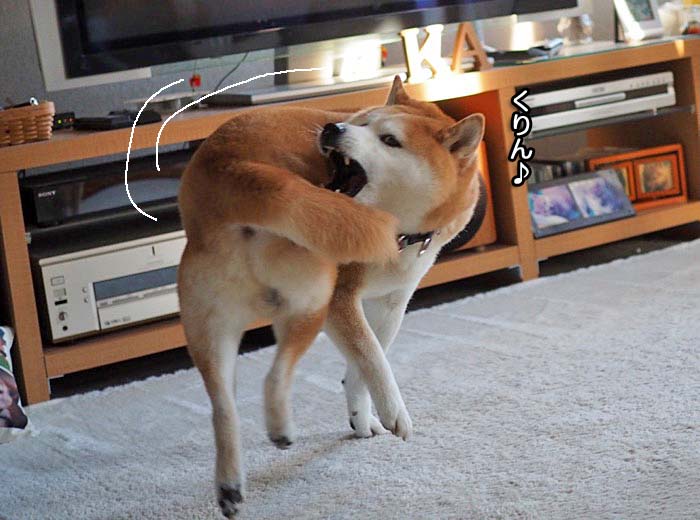 10日夜ブログ３
