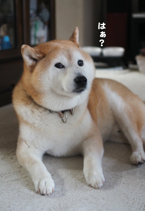 2日ブログ３