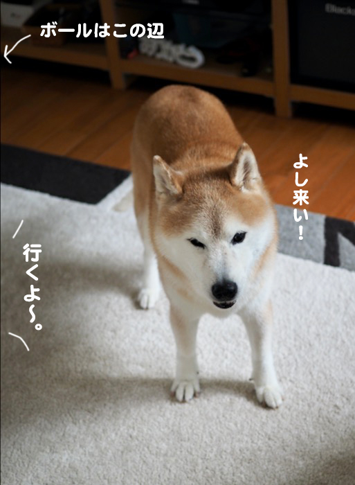 7日ブログ３