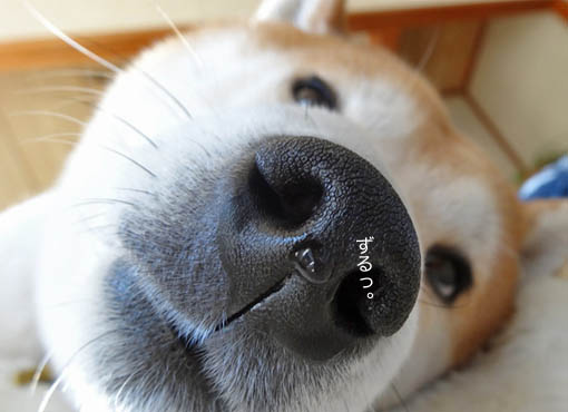9日ブログ2.jpg