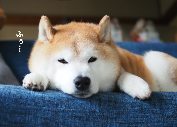 14日ブログ３