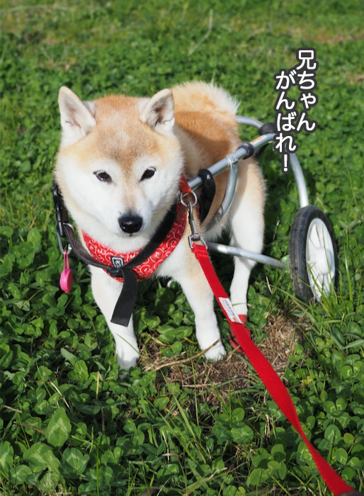 10日昼ブログ３